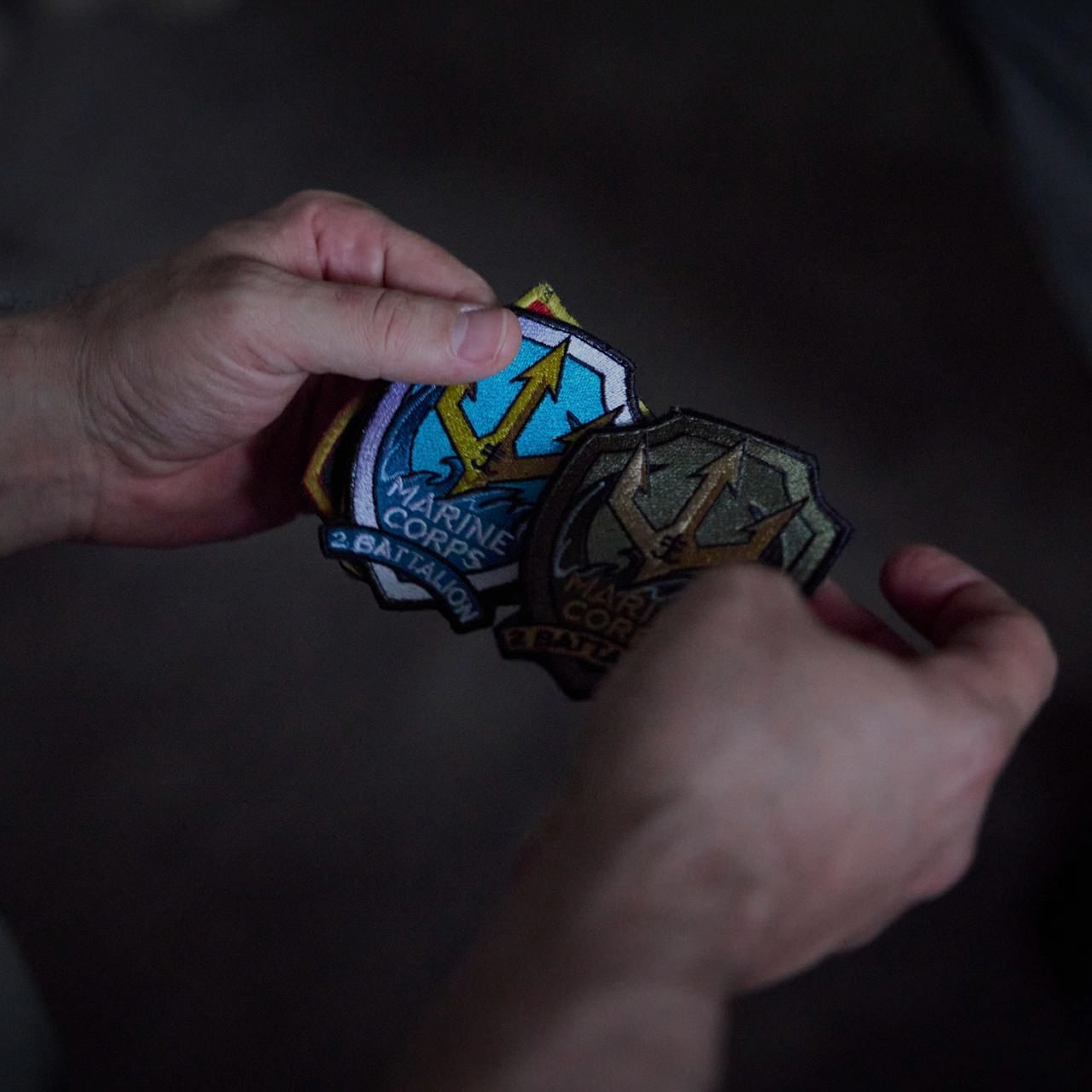 Шеврони Зел