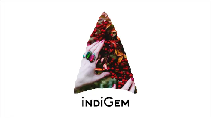 Corporate Identity for indiGem
