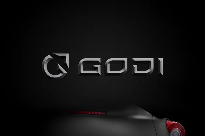 Branding Development for Godi