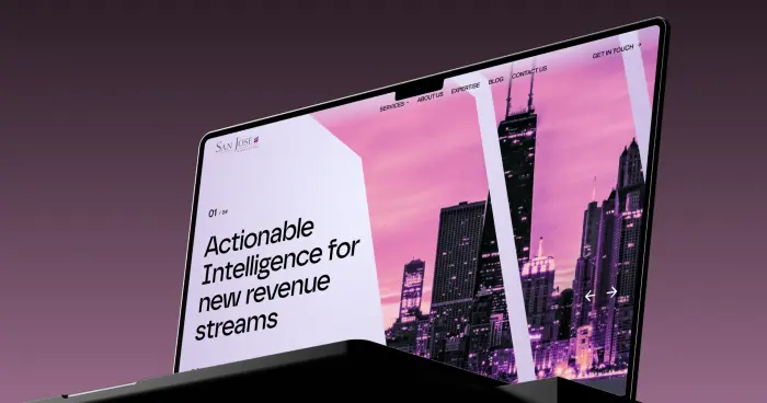 Website Design for San Jose Consulting