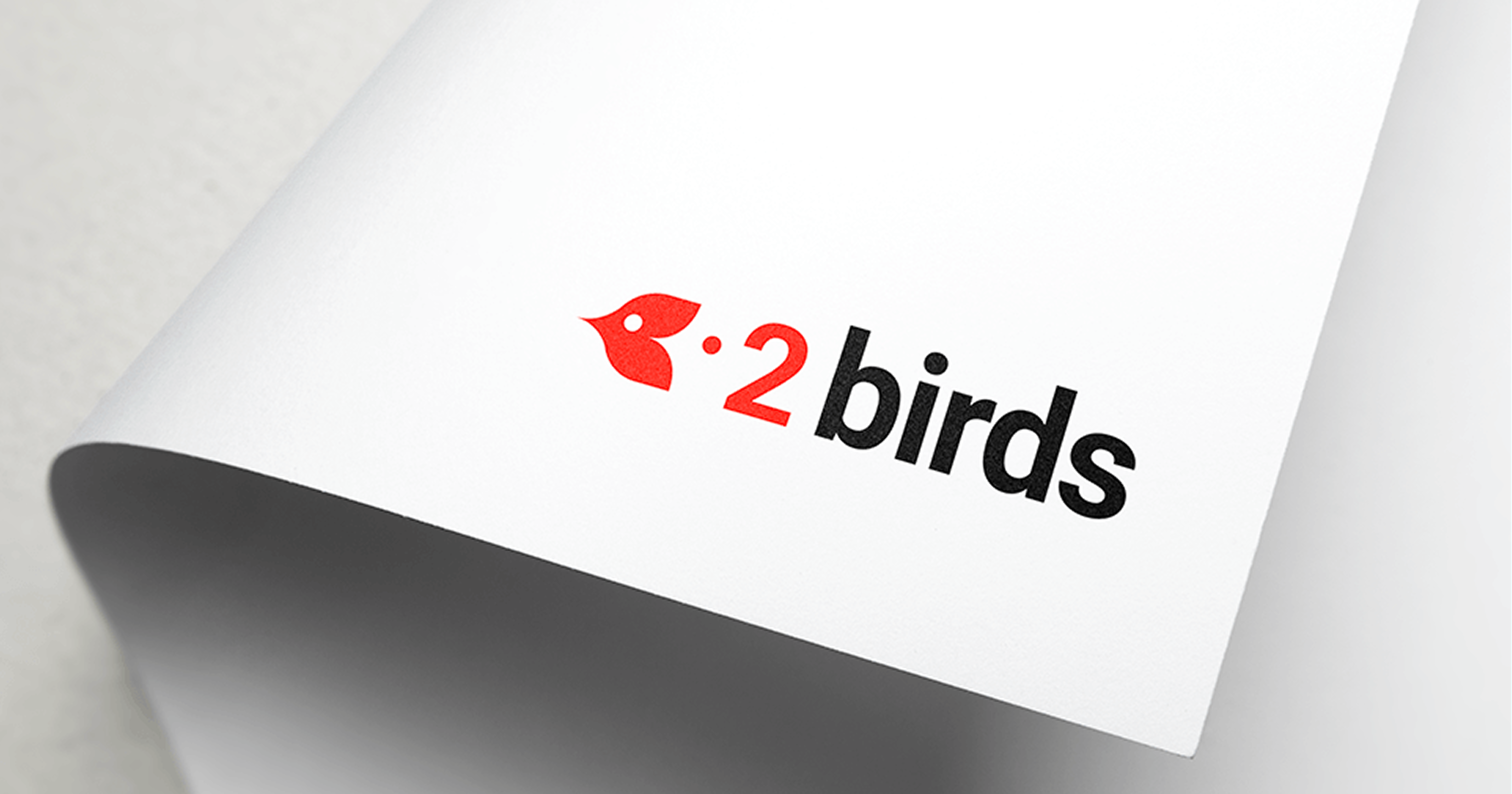 Brand Identity for 2Birds
