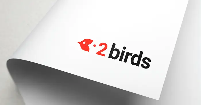 Brand Identity for 2Birds