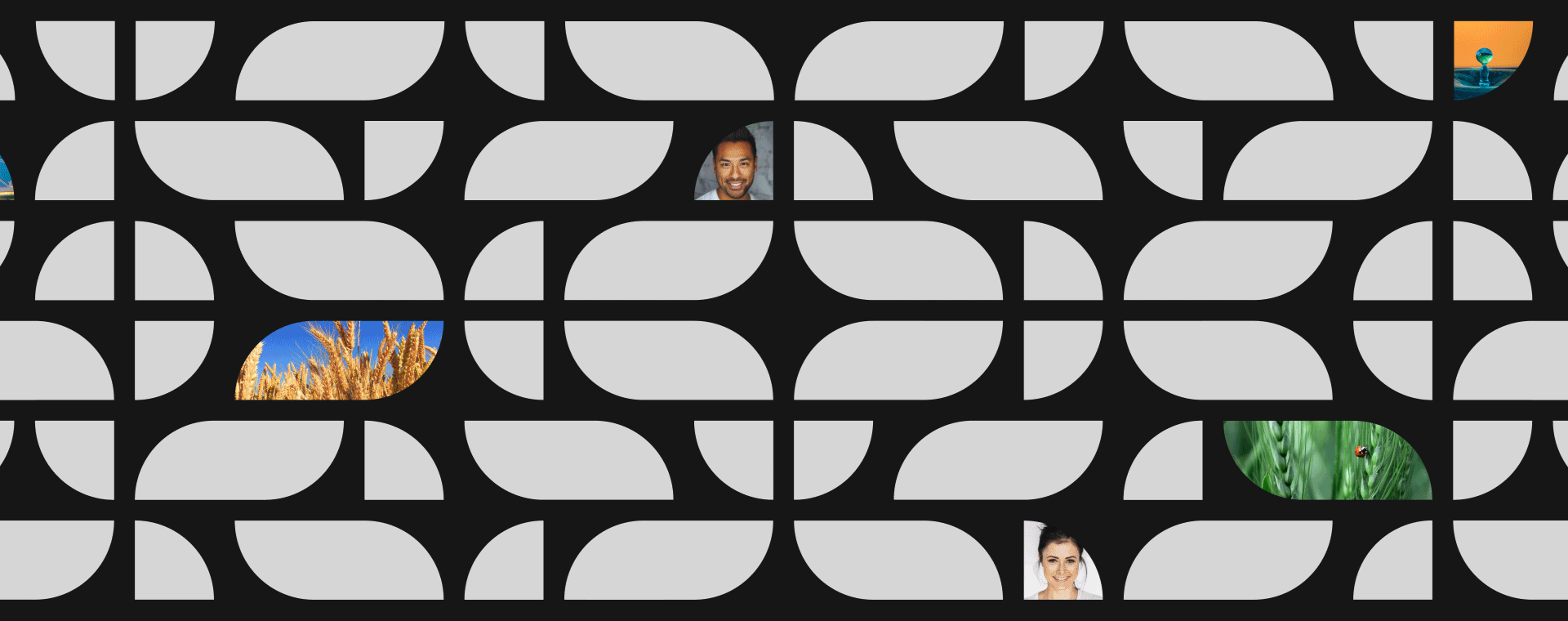 16207456860.gif