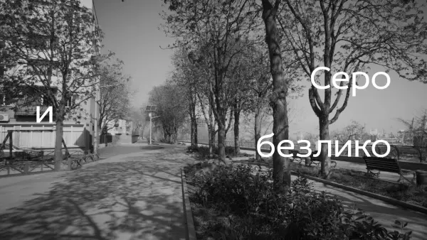16219391330.jpg