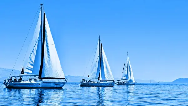 Разработка сайта Sailica